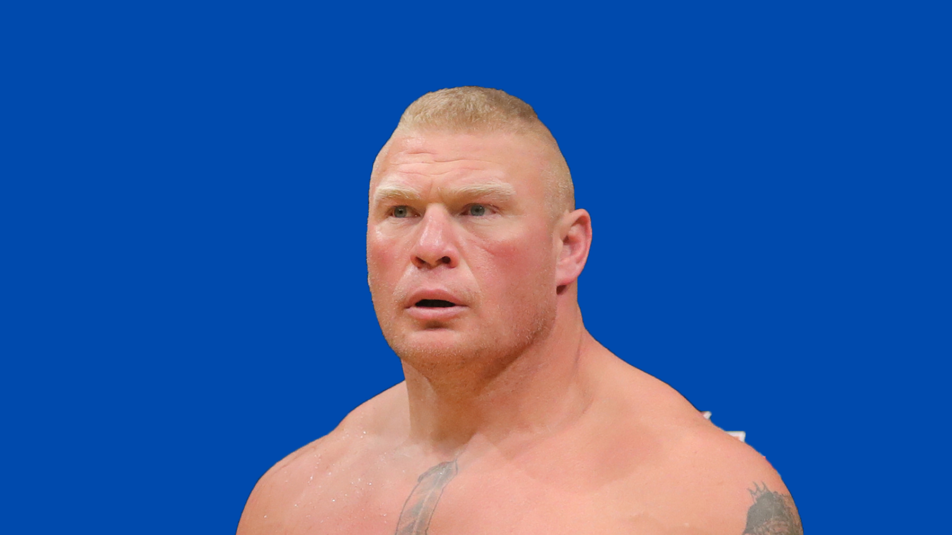 Brock Lesnar