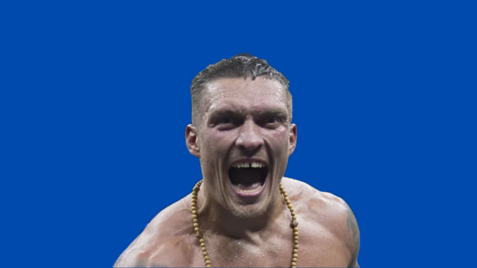 Oleksandr Usyk
